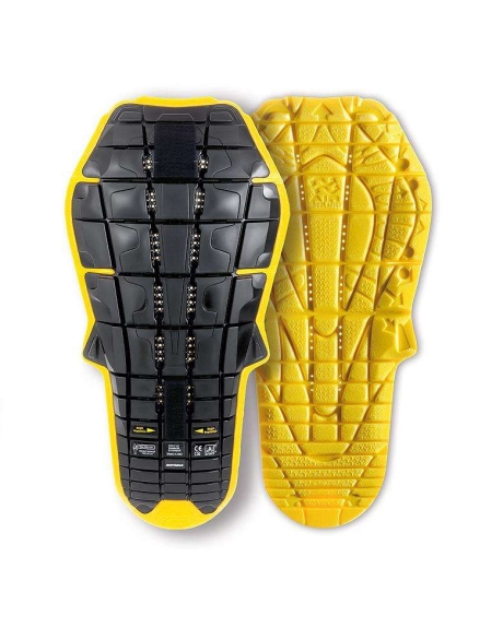 Back Warrior Evo Inside